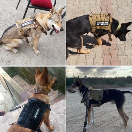 Tactical Dog Harness - Image 5