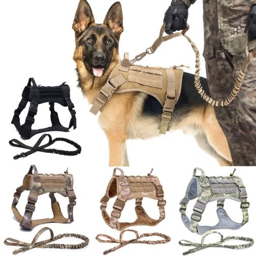 Camo Tactical Dog Collar